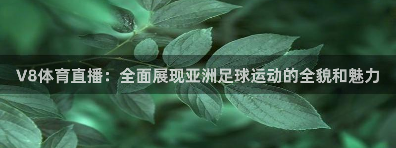 V8体育直播：全面展现亚洲足球运动的全貌和魅力