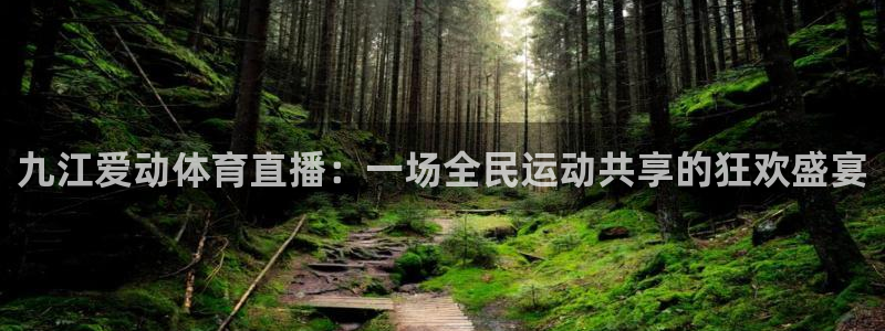 九江爱动体育直播：一场全民运动共享的狂欢盛宴