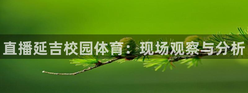 直播延吉校园体育：现场观察与分析